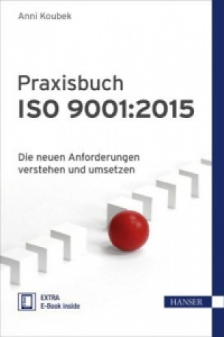 Kniha Praxisbuch ISO 9001:2015 Anni Koubek