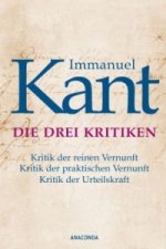 Kniha Die drei Kritiken Immanuel Kant