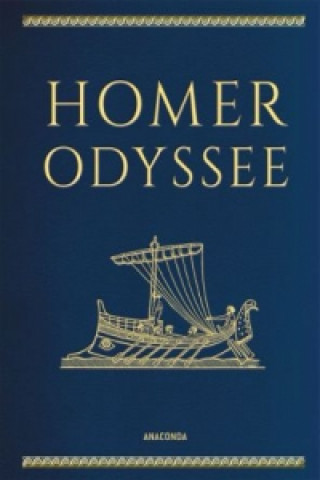 Książka Homer, Odyssee Homer