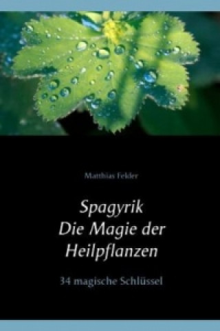 Kniha Spagyrik - Die Magie der Heilpflanzen Matthias Felder