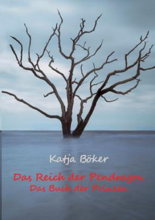 Könyv Reich der Pendragon Katja Böker