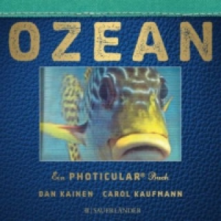 Kniha Ozean Dan Kainen