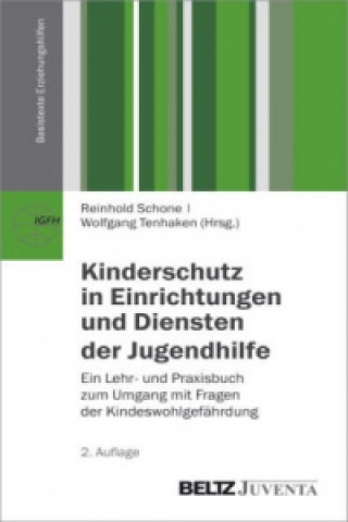 Könyv Kinderschutz in Einrichtungen und Diensten der Jugendhilfe Reinhold Schone