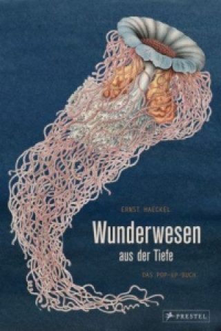 Knjiga Wunderwesen aus der Tiefe Maike Biederstädt