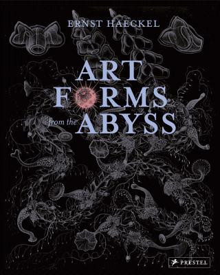 Książka Art Forms from the Abyss Peter Williams