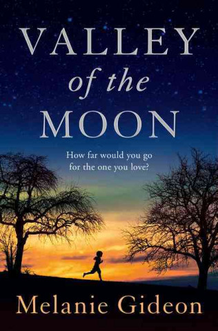 Könyv Valley of the Moon Melanie Gideon