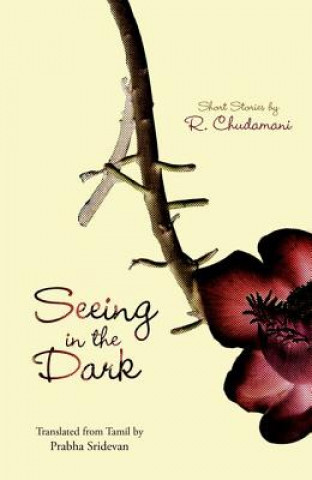 Kniha Seeing in the Dark R. Chudamani
