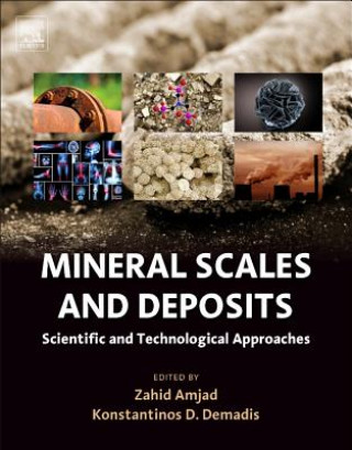 Kniha Mineral Scales and Deposits Zahid Amjad