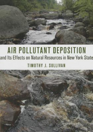 Kniha Air Pollutant Deposition and Its Effects on Natural Resources in New York State Timothy J. Sullivan