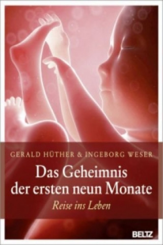 Kniha Das Geheimnis der ersten neun Monate Gerald Hüther