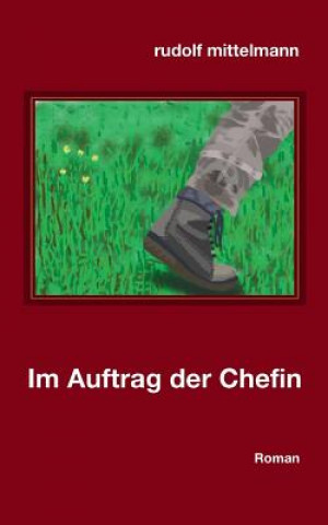 Buch Im Auftrag der Chefin Rudolf Mittelmann