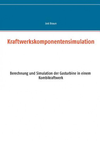 Kniha Kraftwerkskomponentensimulation Jost Braun