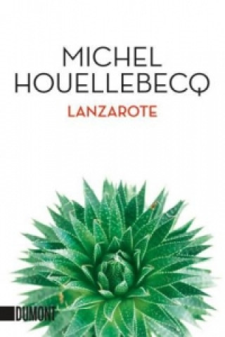 Carte Lanzarote Michel Houellebecq