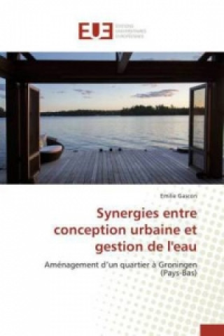 Knjiga Synergies entre conception urbaine et gestion de l'eau Emilie Gascon