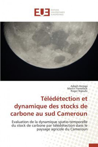 Carte Teledetection Et Dynamique Des Stocks de Carbone Au Sud Cameroun 