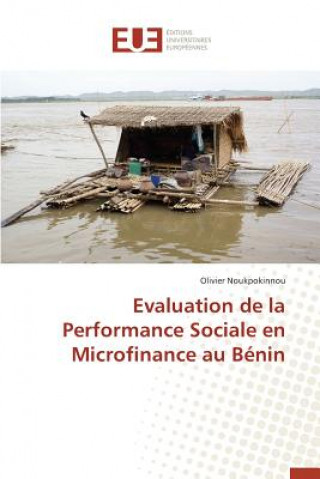 Kniha Evaluation de la Performance Sociale En Microfinance Au Benin Noukpokinnou-O