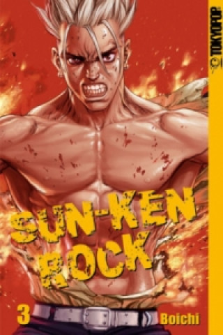 Kniha Sun-Ken Rock. Bd.3 Boichi