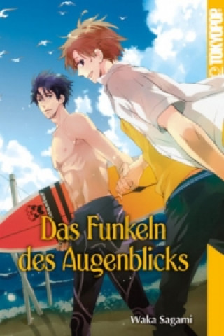 Kniha Das Funkeln des Augenblicks Waka Sagami