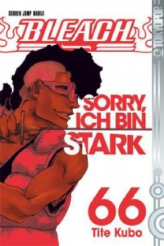 Książka Bleach - Sorry, ich bin stark Tite Kubo