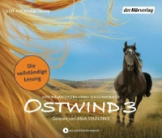 Audio Ostwind - Aufbruch nach Ora, 4 Audio-CDs Lea Schmidbauer