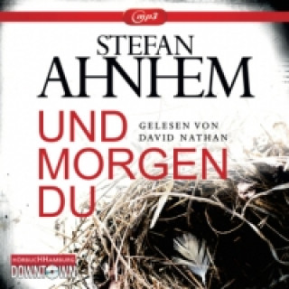 Audio Und morgen du (Ein Fabian-Risk-Krimi 1), 2 Audio-CD, 2 MP3 Stefan Ahnhem