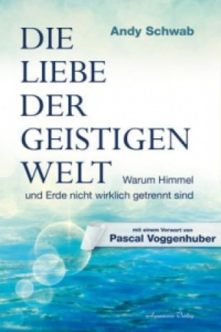 Buch Die Liebe der Geistigen Welt Andy Schwab