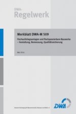 Carte Merkblatt DWA-M 509 Fischaufstiegsanlagen und fischpassierbare Bauwerke - Gestaltung, Bemessung, Qualitätssicherung Abwasser und Abfall (DWA) Deutsche Vereinigung für Wasserwirtschaft
