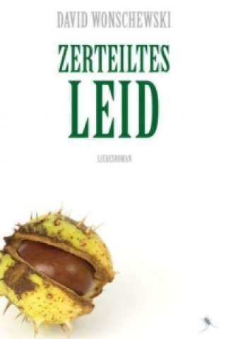 Libro Zerteiltes Leid 