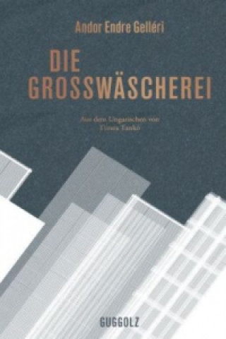 Книга Die Großwäscherei Andor Endre Gelléri