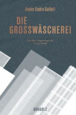 Buch Die Großwäscherei Andor Endre Gelléri