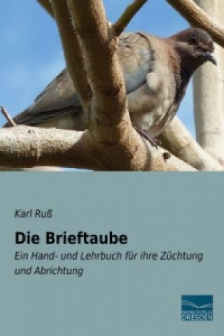 Buch Die Brieftaube Karl Ruß