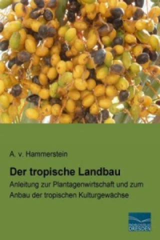 Könyv Der tropische Landbau A. v. Hammerstein