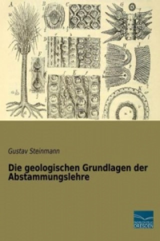 Kniha Die geologischen Grundlagen der Abstammungslehre Gustav Steinmann