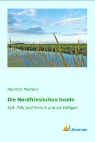 Carte Die Nordfriesischen Inseln Heinrich Martens