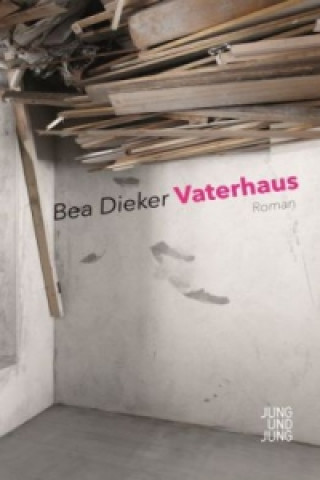 Książka Vaterhaus Bea Dieker