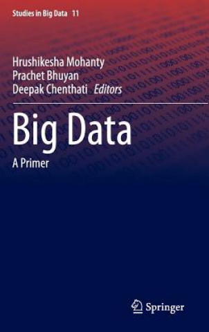 Book Big Data Hrushikesha Mohanty