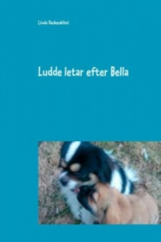 Kniha Ludde letar efter Bella Linda Vackenklint