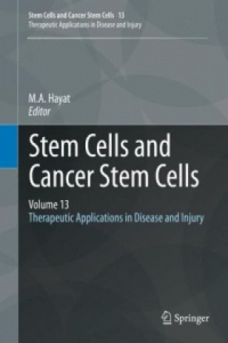 Könyv Stem Cells and Cancer Stem Cells, Volume 13 M. A. Hayat