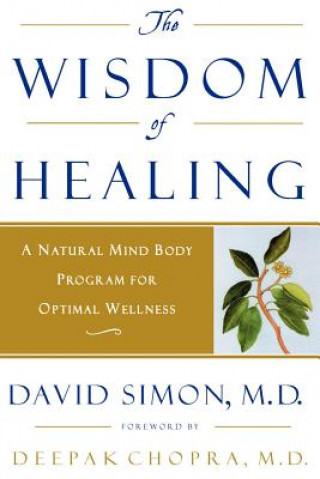 Könyv Wisdom of Healing M.D. Simon