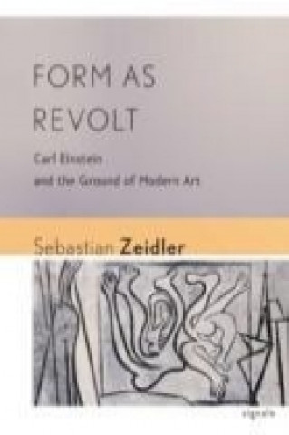Kniha Form as Revolt Sebastian Zeidler