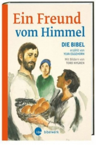 Könyv Ein Freund vom Himmel Ylva Eggehorn
