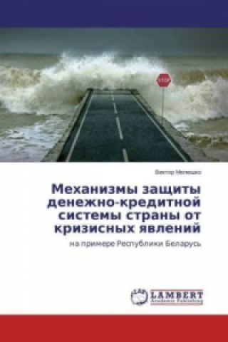 Carte Mehanizmy zashhity denezhno-kreditnoj sistemy strany ot krizisnyh yavlenij Viktor Meljushko