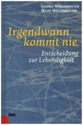 Kniha Irgendwann kommt nie Georg Wögerbauer