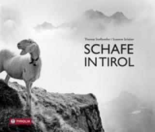 Kniha Schafe in Tirol Susanne Schaber