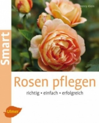 Knjiga Rosen pflegen Henry Klein