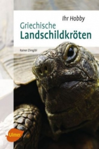 Könyv Griechische Landschildkröten Rainer Zirngibl