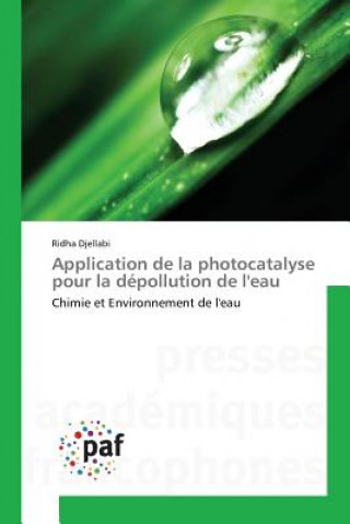 Buch Application de la Photocatalyse Pour La Depollution de l'Eau Djellabi-R