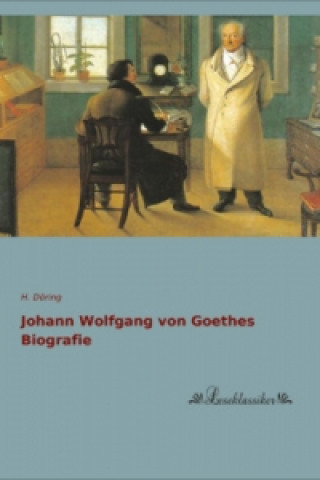 Buch Johann Wolfgang von Goethes Biografie H. Döring