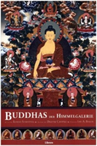 Könyv Buddhas der Himmelgalerie Romio Shrestha