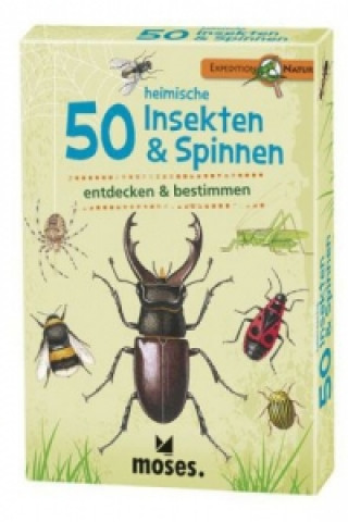 Hra/Hračka 50 heimische Insekten & Spinnen entdecken & bestimmen, 50 Ktn. Carola von Kessel